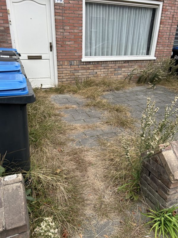 Voortuin vóór het opruimen
