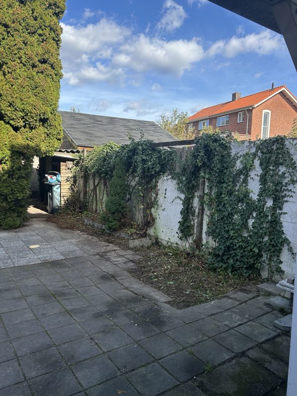 Achtertuin na het snoeien en opruimen