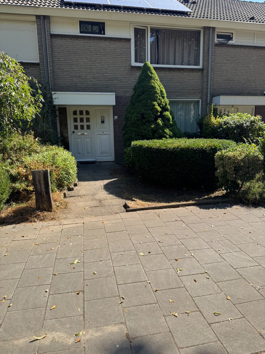 Voortuin met hagen en een pad bij een woning